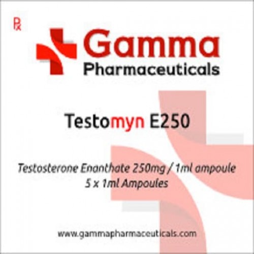Gamma Pharma Testosterone Enanthate 10 Ampül 250mg