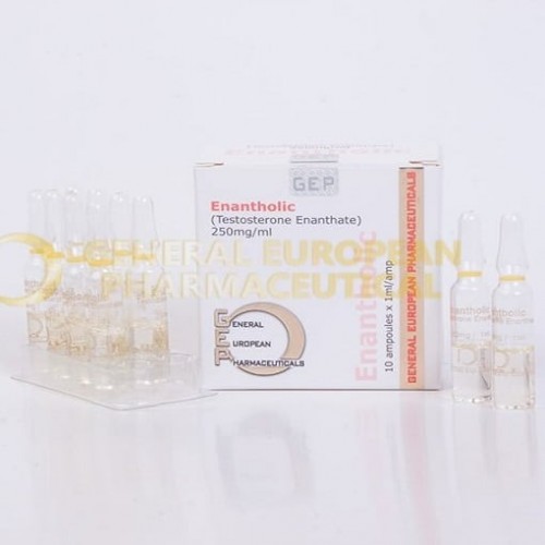 Gep Pharma Testosterone Enanthate 10 Ampül 250mg